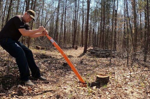 Stump Grinding Sydney