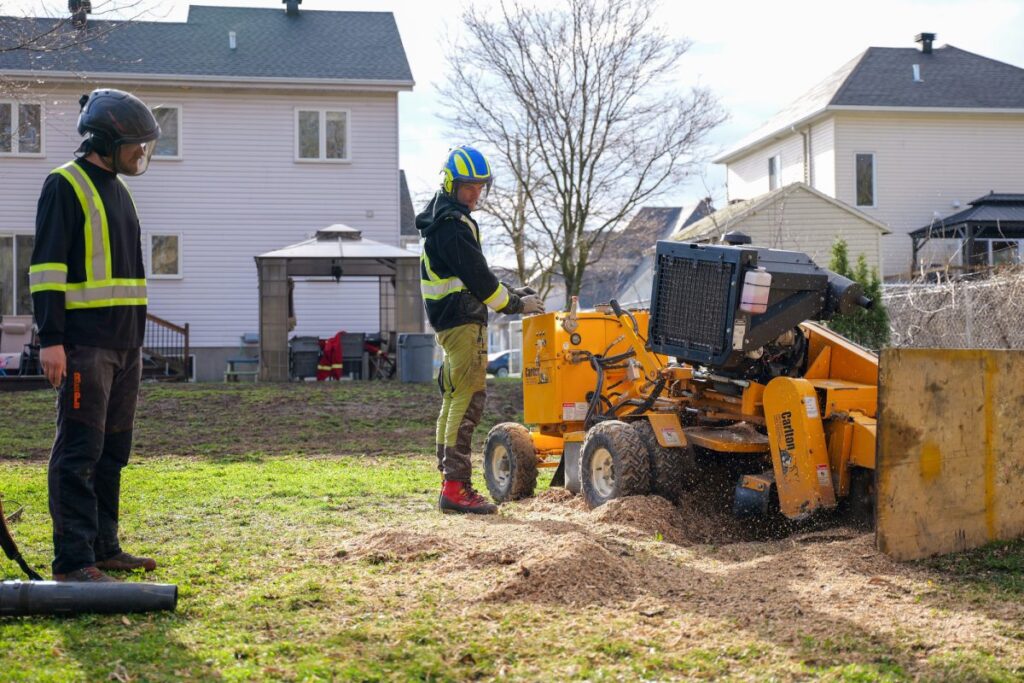 tree-stump-grinding