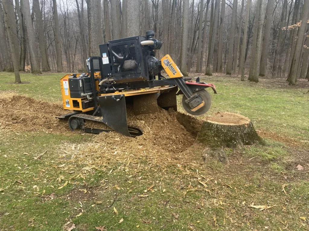 Stump-grinding