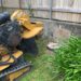 Stump-grinding