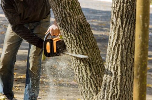 tree removing