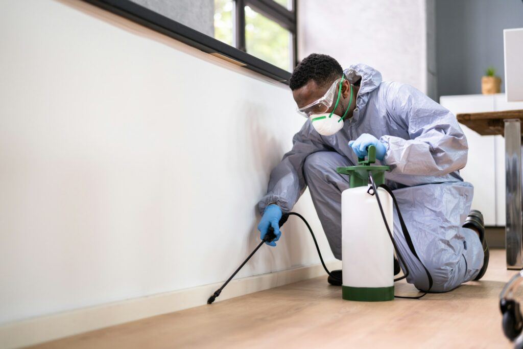 Pest and Termite Treatment