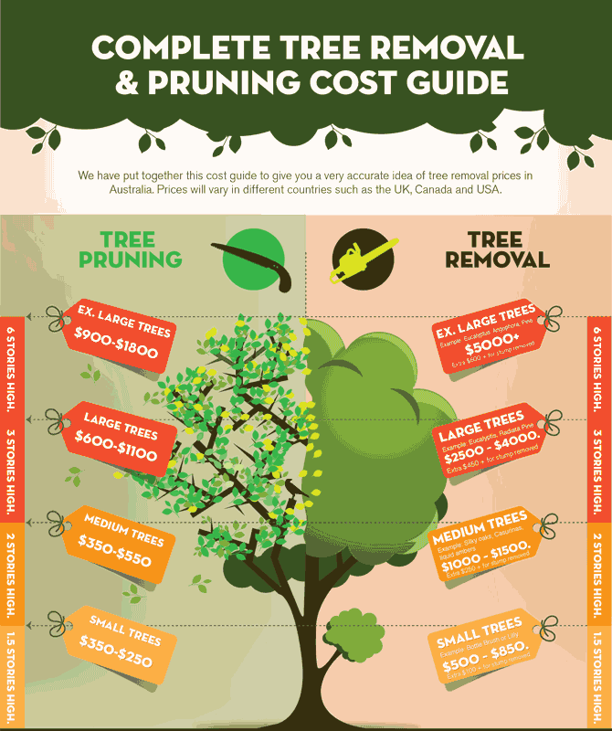 Tree Pruning Pricing and the Economics of Urban Ecology