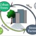 Tree Pruning Pricing and the Economics of Urban Ecology
