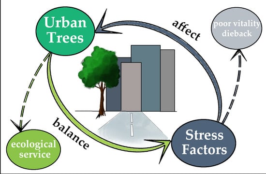 Tree Pruning Pricing and the Economics of Urban Ecology