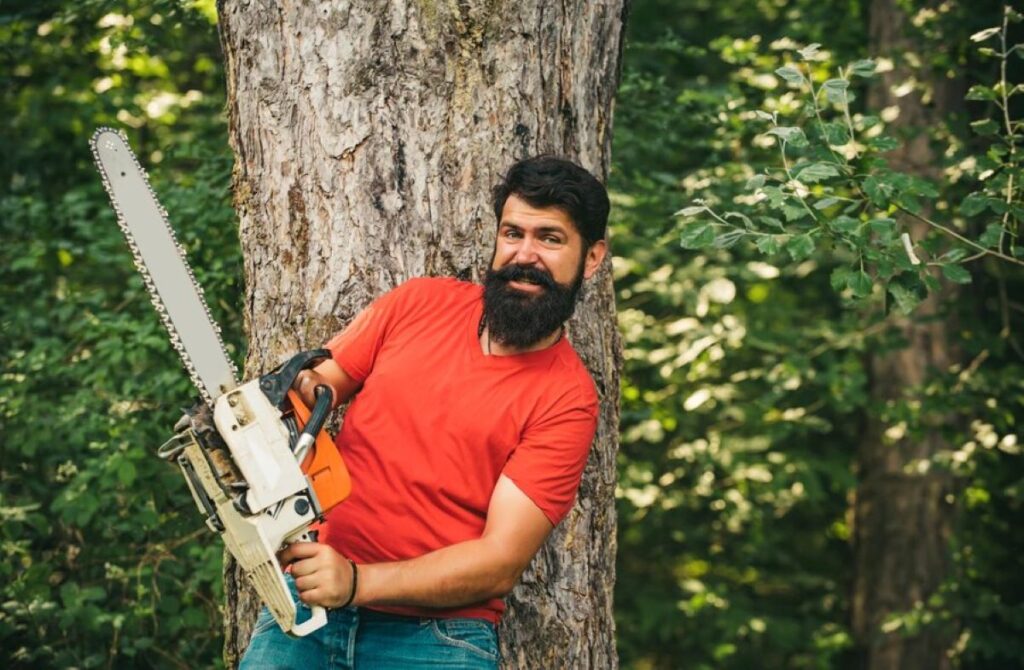 Arborist Mosman