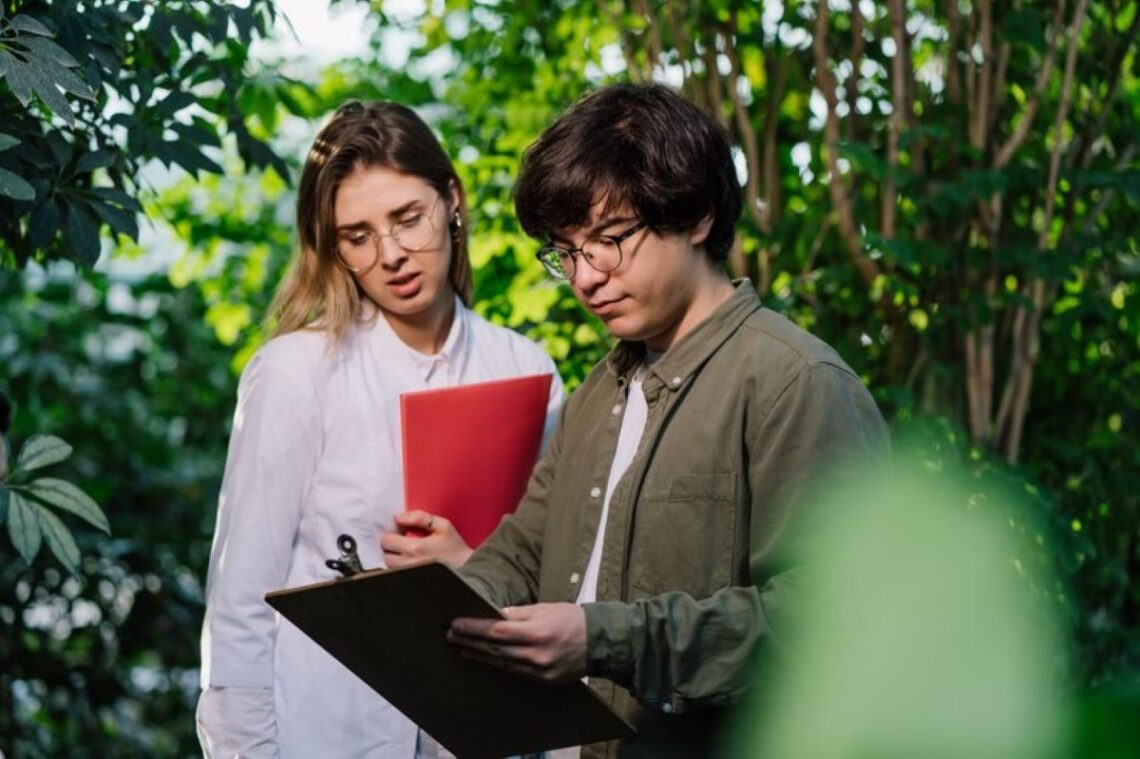 Arborist Mosman