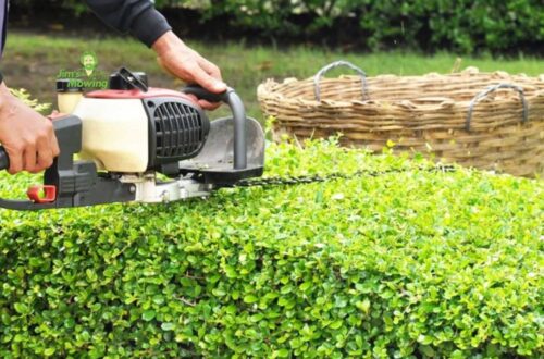 hedge trimming safety tips